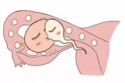 青碧生殖医学中心